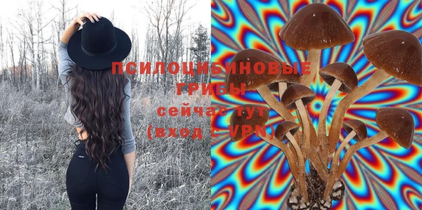 твердый Абдулино